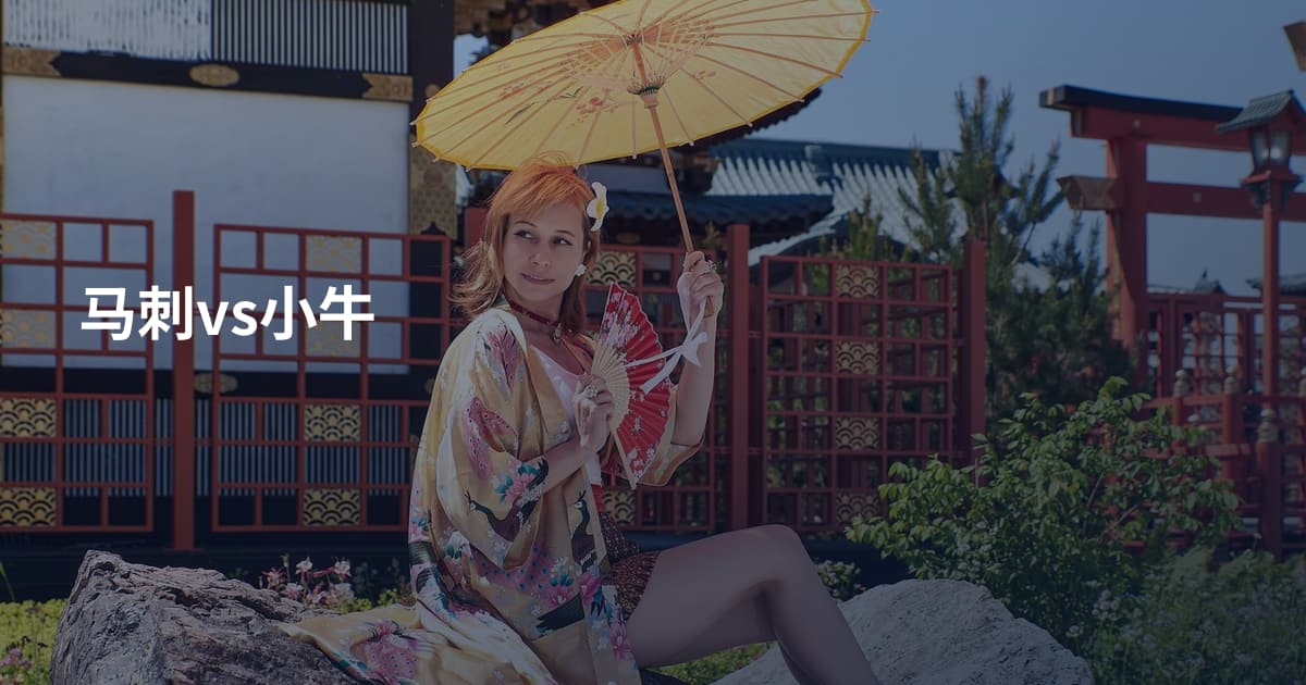马刺vs小牛