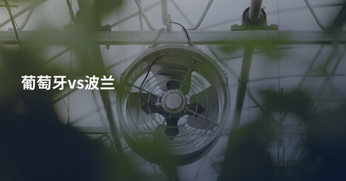 葡萄牙vs波兰