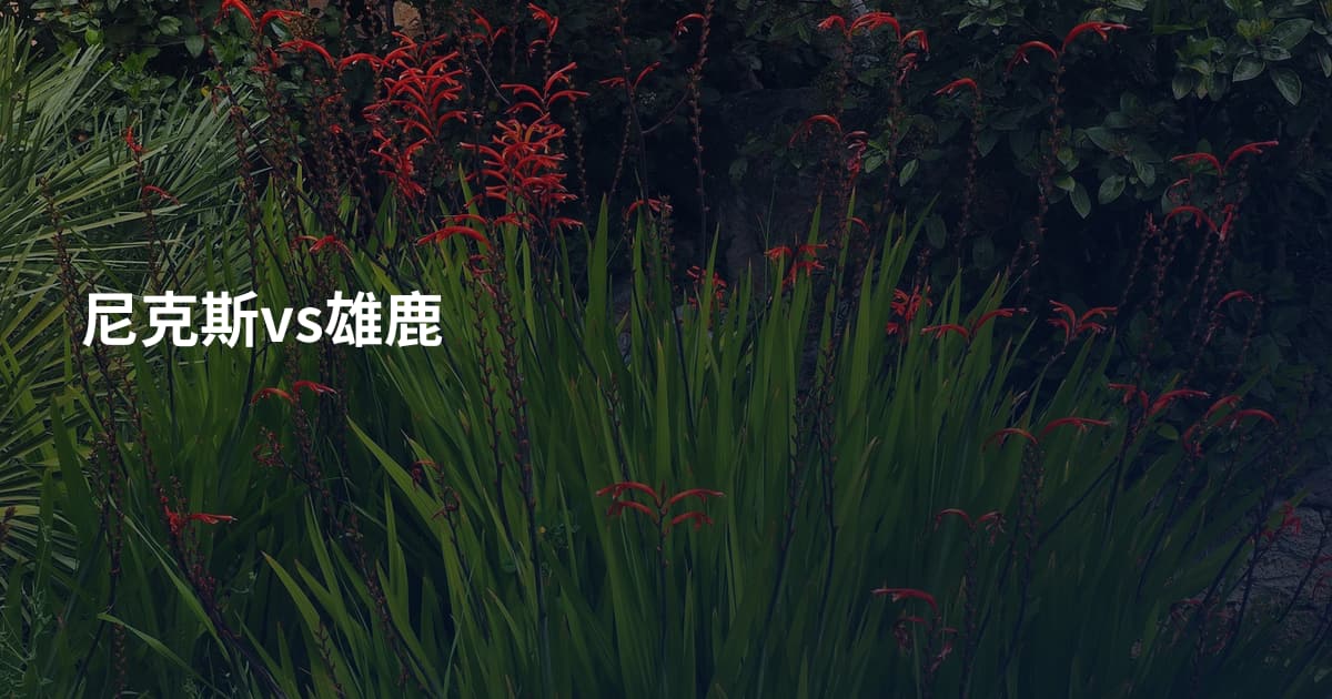 尼克斯vs雄鹿