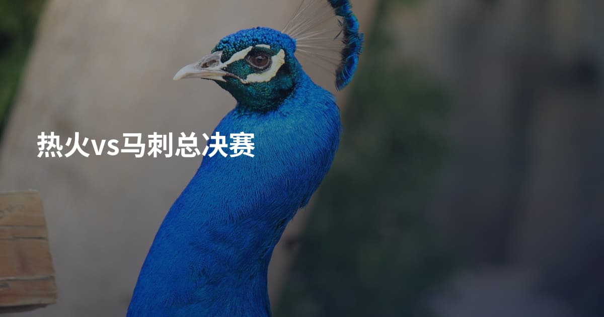 热火vs马刺总决赛