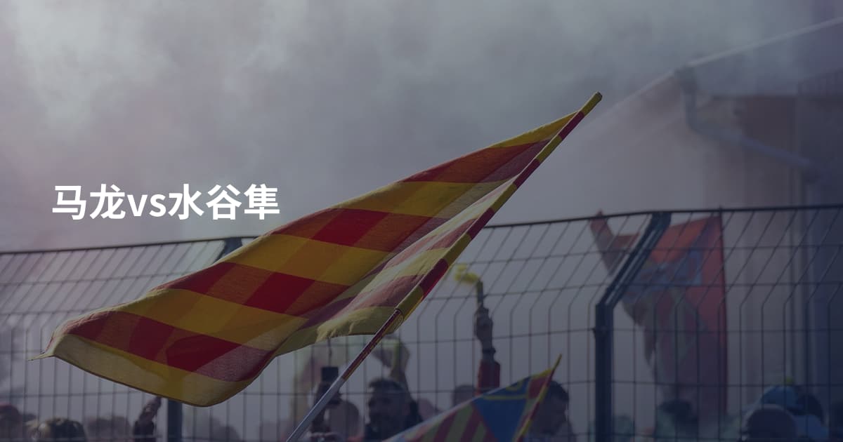 马龙vs水谷隼