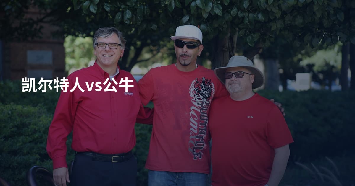 凯尔特人vs公牛