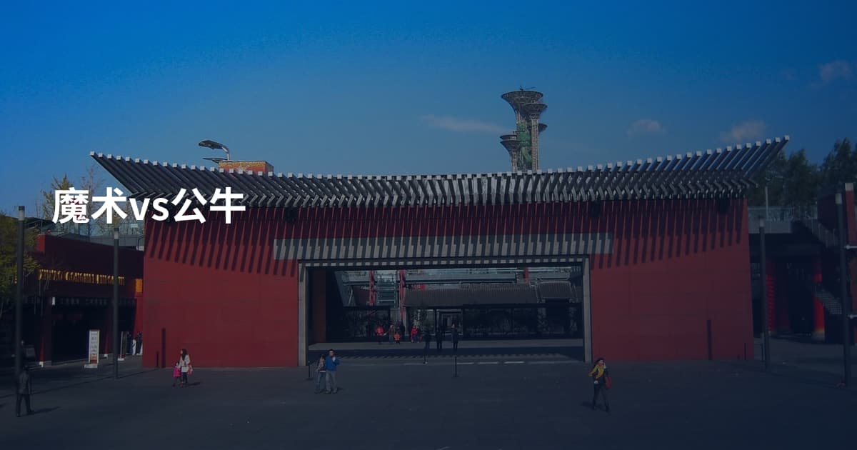 魔术vs公牛