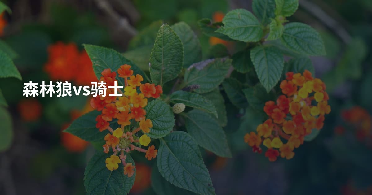 森林狼vs骑士