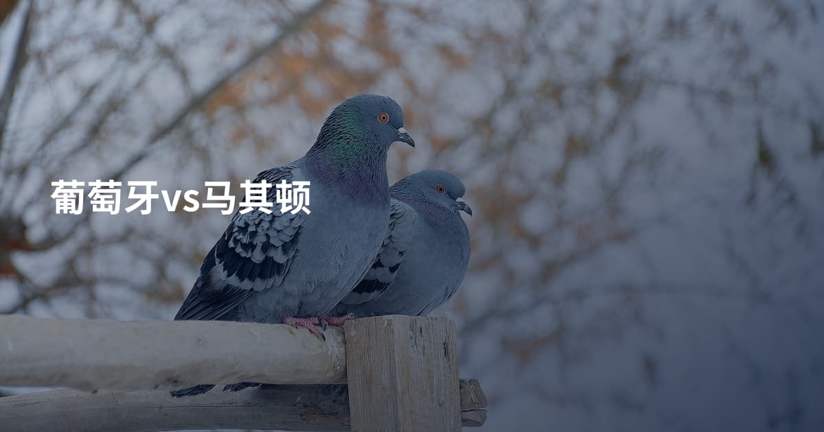 葡萄牙vs马其顿