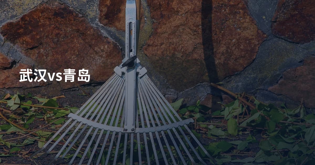 武汉vs青岛