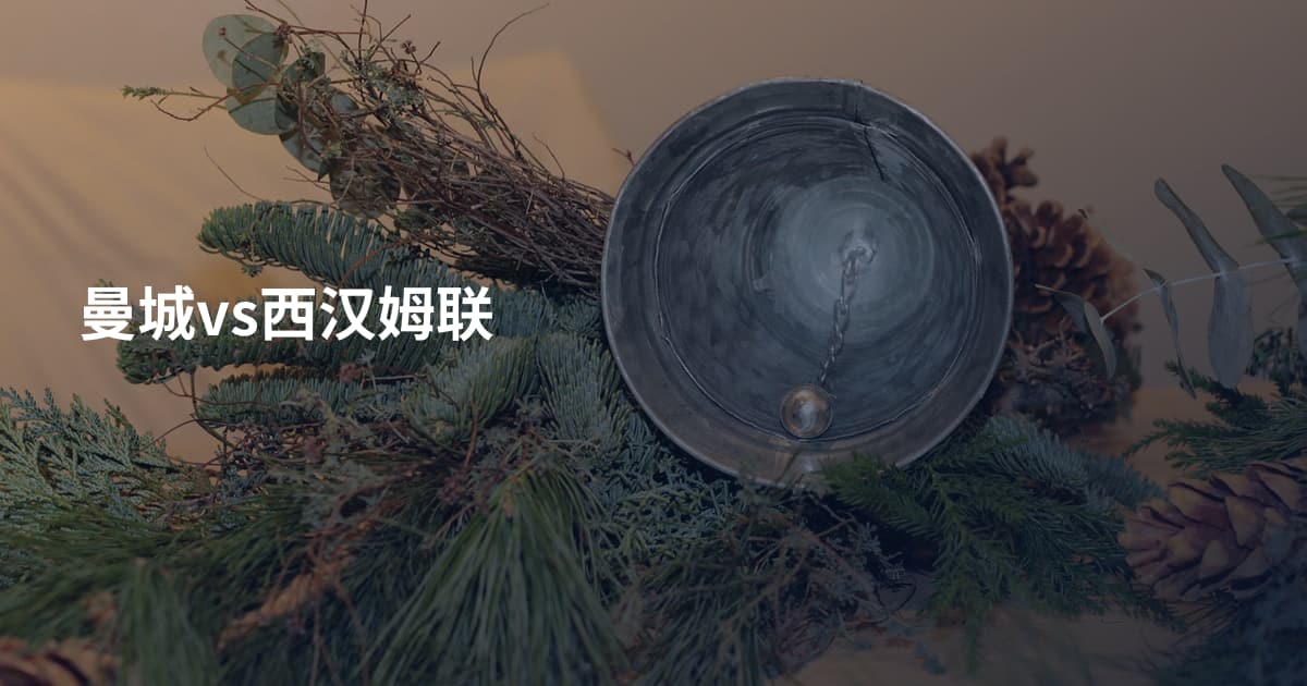 曼城vs西汉姆联