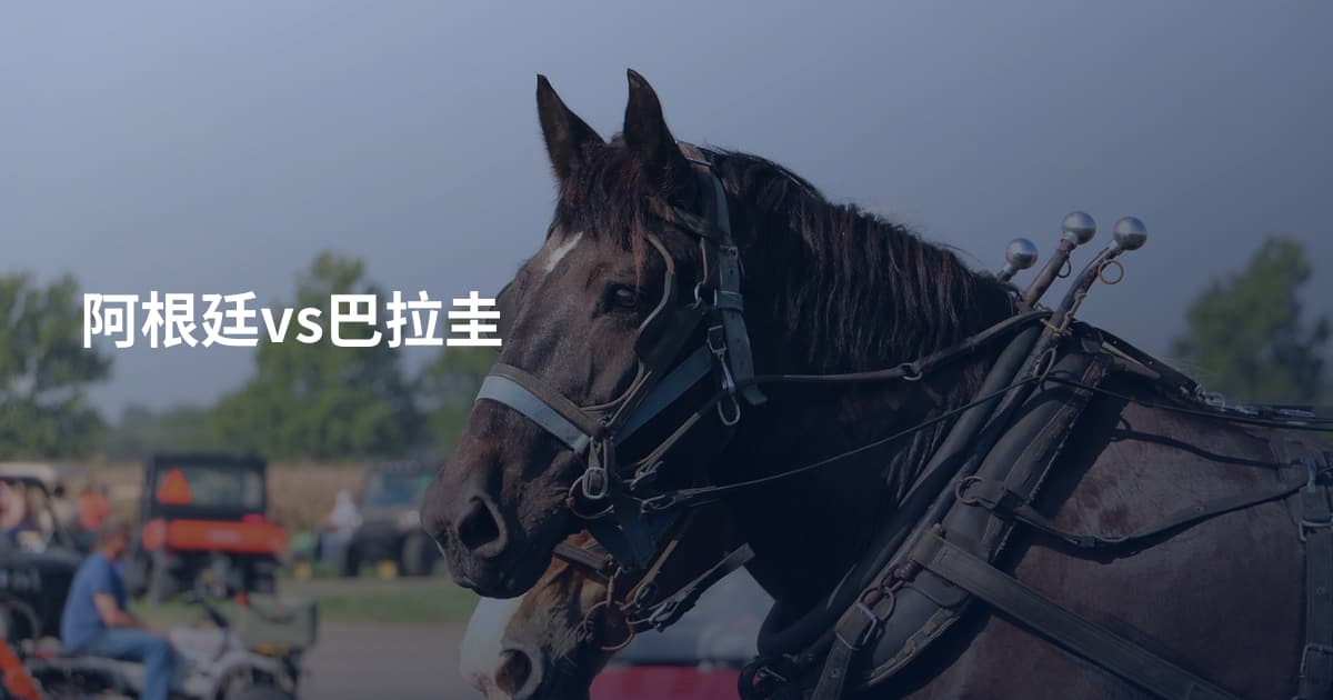阿根廷vs巴拉圭