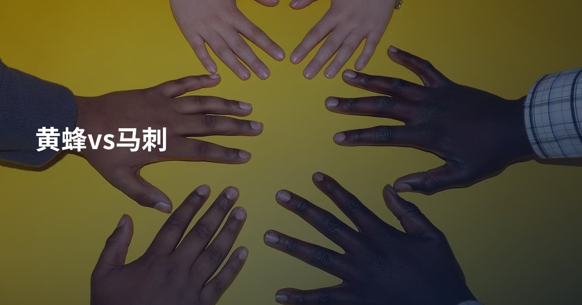 黄蜂vs马刺