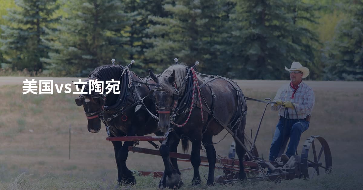 美国vs立陶宛