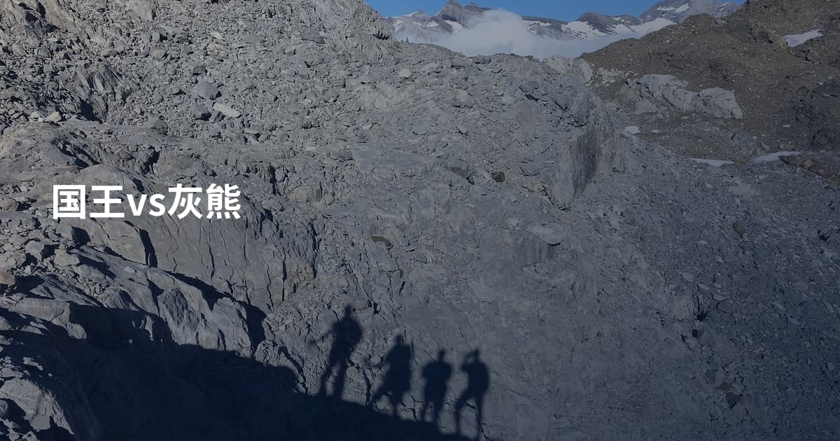 国王vs灰熊