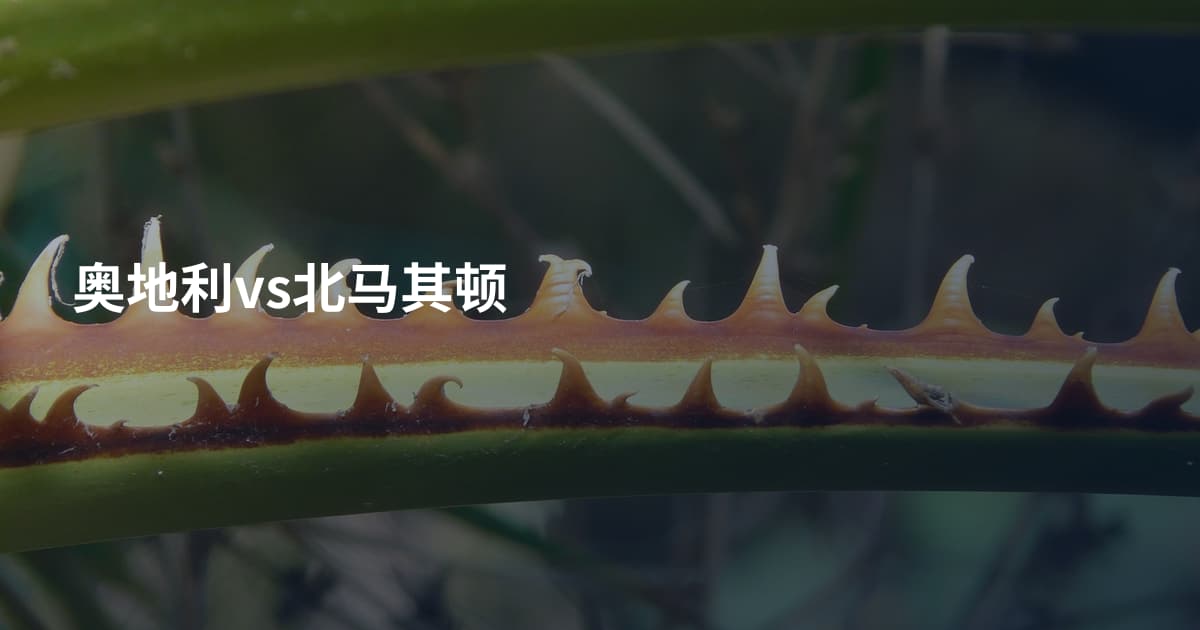 奥地利vs北马其顿