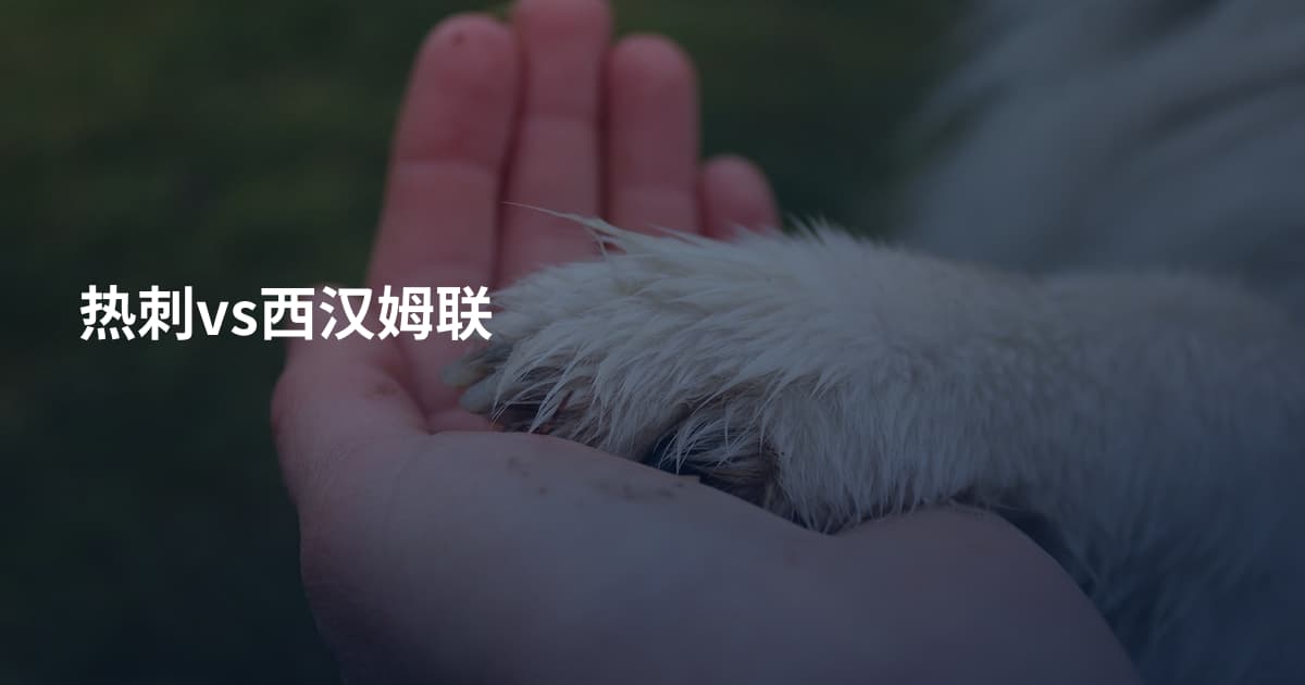 热刺vs西汉姆联