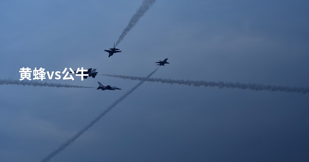 黄蜂vs公牛