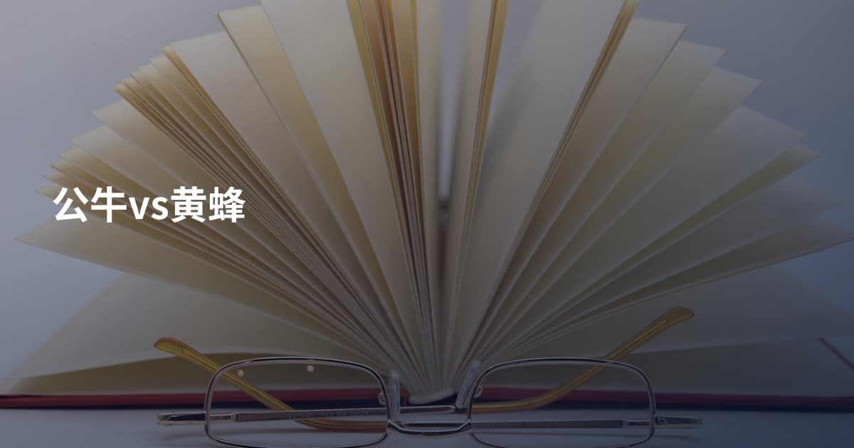 公牛vs黄蜂
