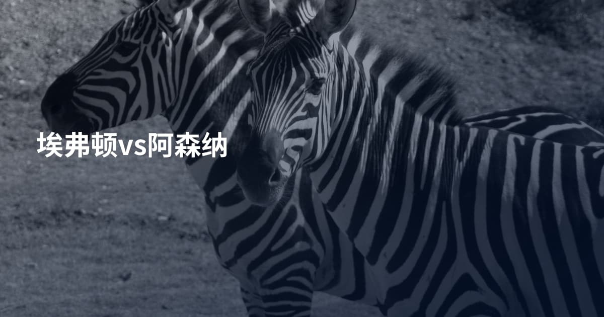 埃弗顿vs阿森纳