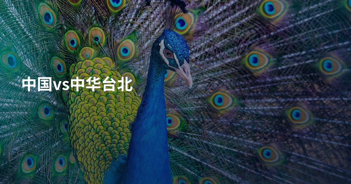 中国vs中华台北