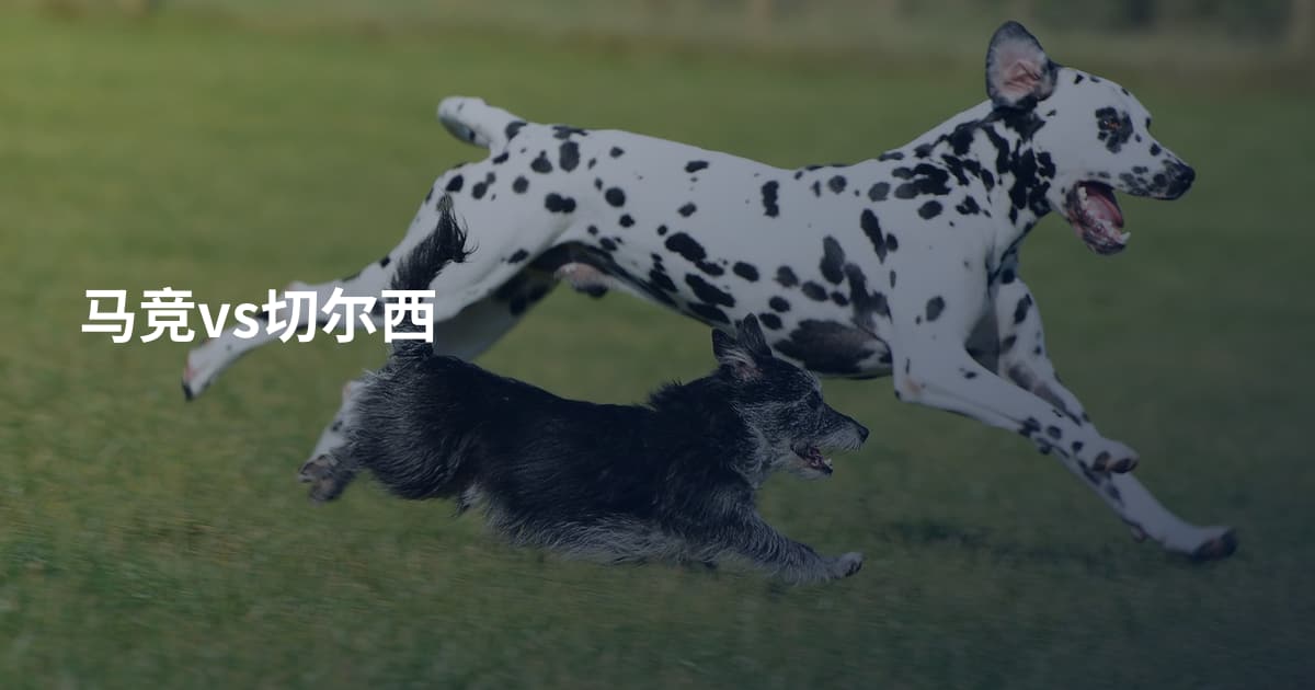马竞vs切尔西