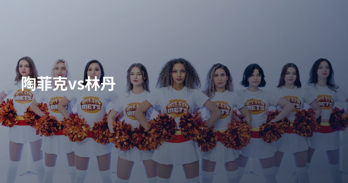 陶菲克vs林丹