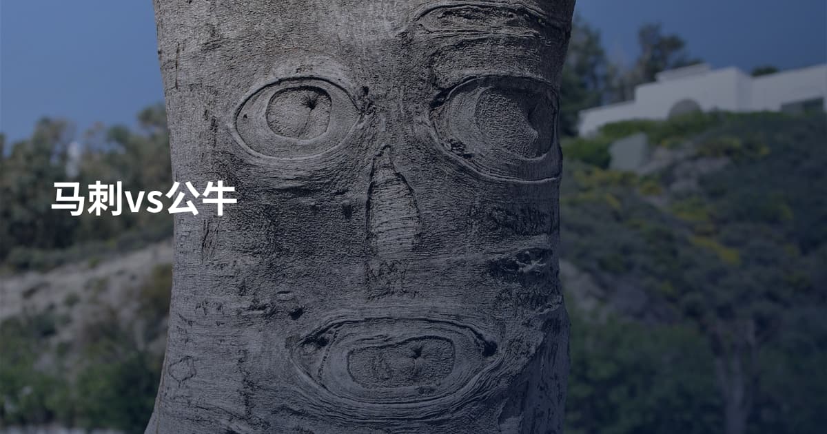 马刺vs公牛
