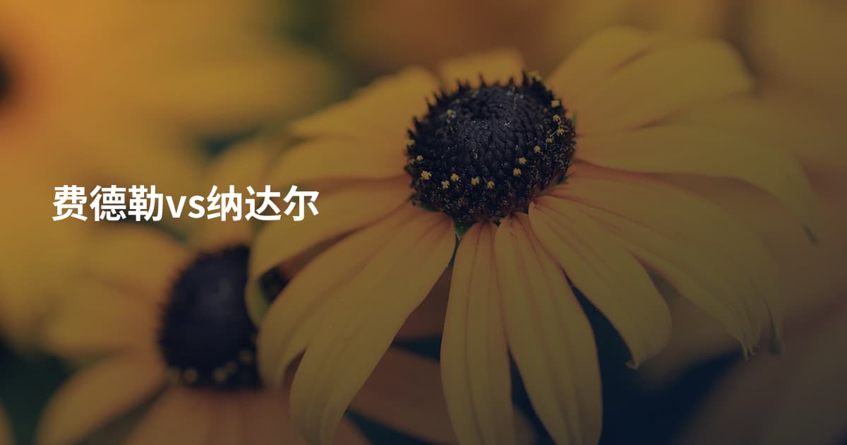 费德勒vs纳达尔