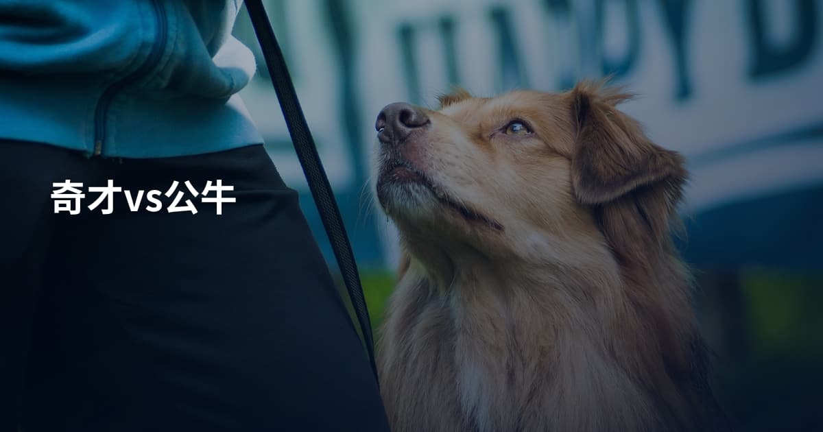 奇才vs公牛