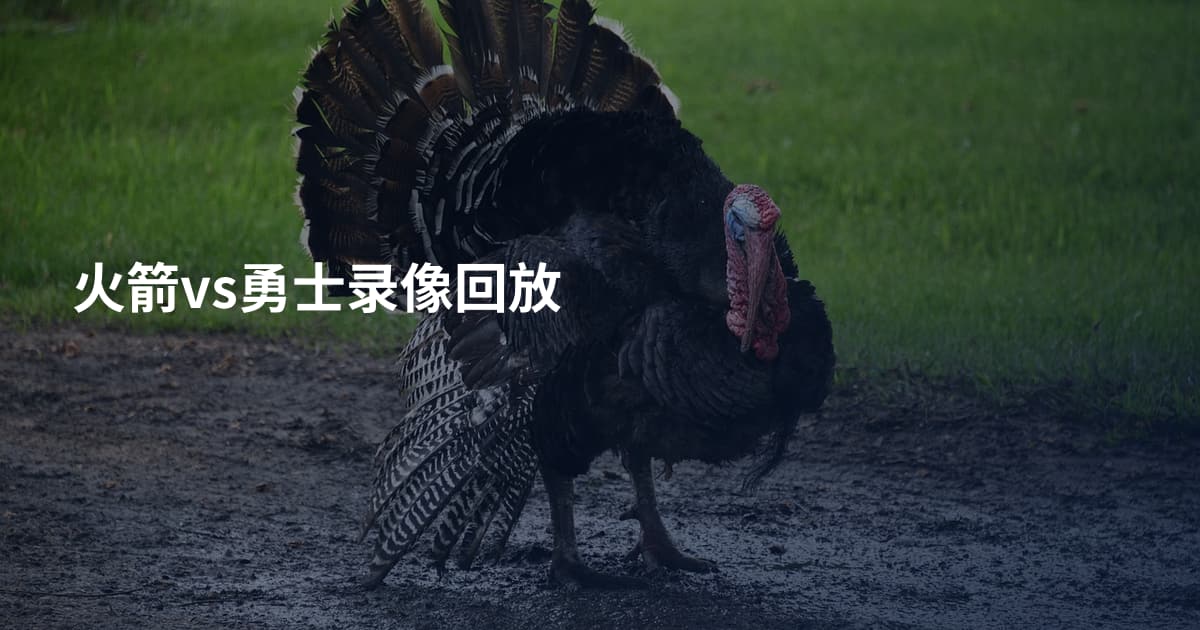 火箭vs勇士录像回放