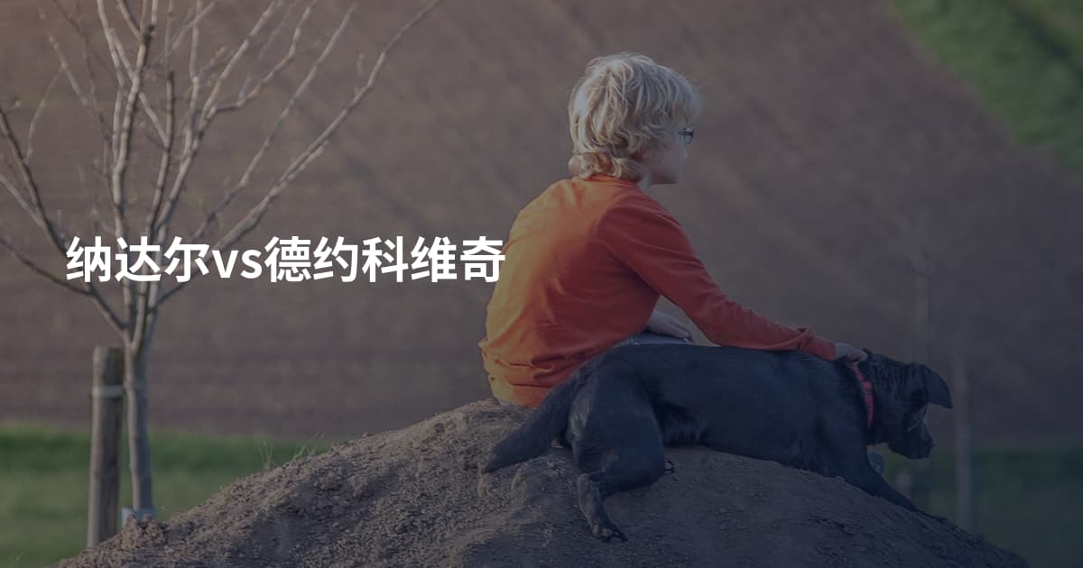 纳达尔vs德约科维奇