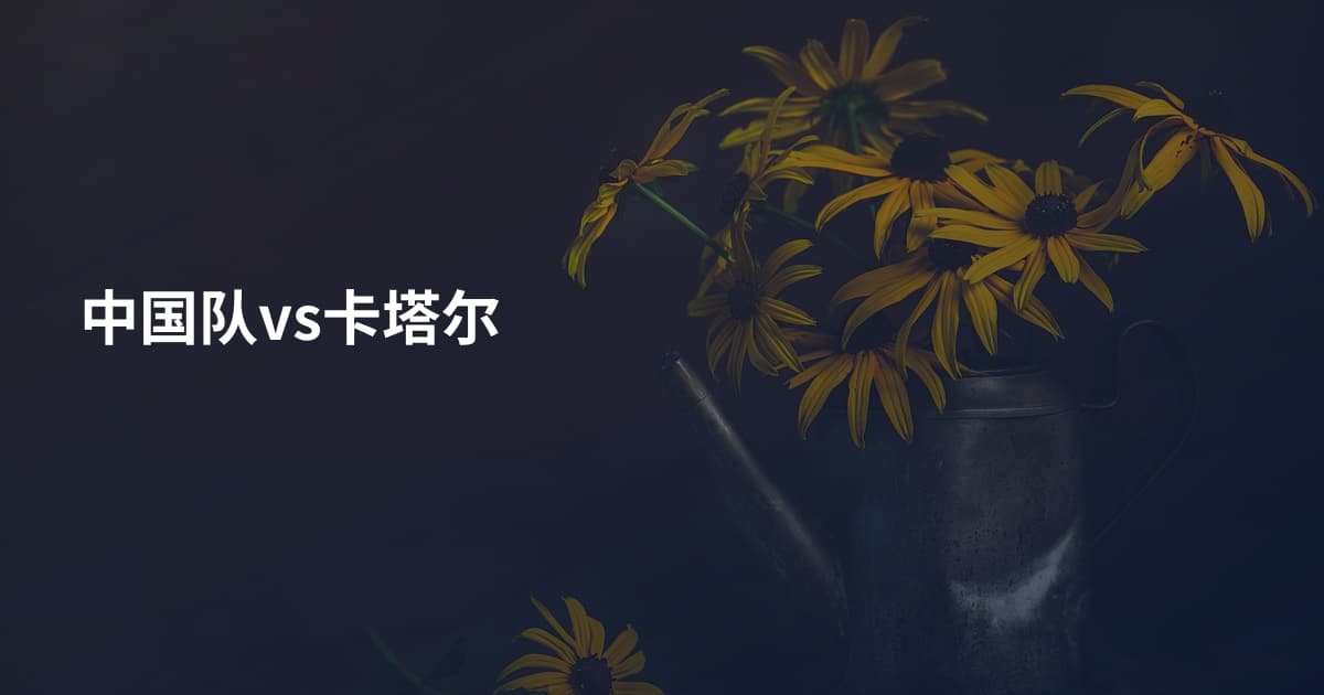 中国队vs卡塔尔