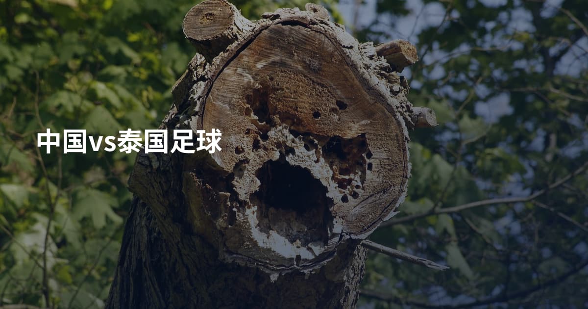 中国vs泰国足球