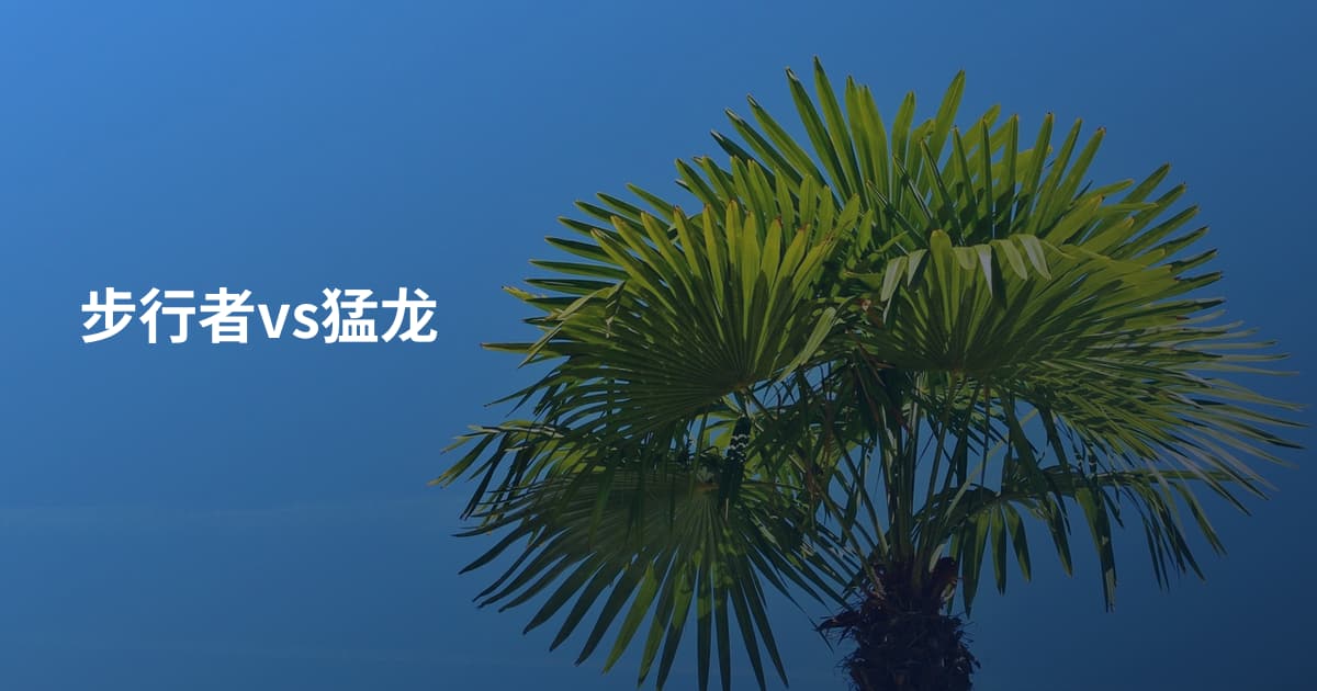 步行者vs猛龙