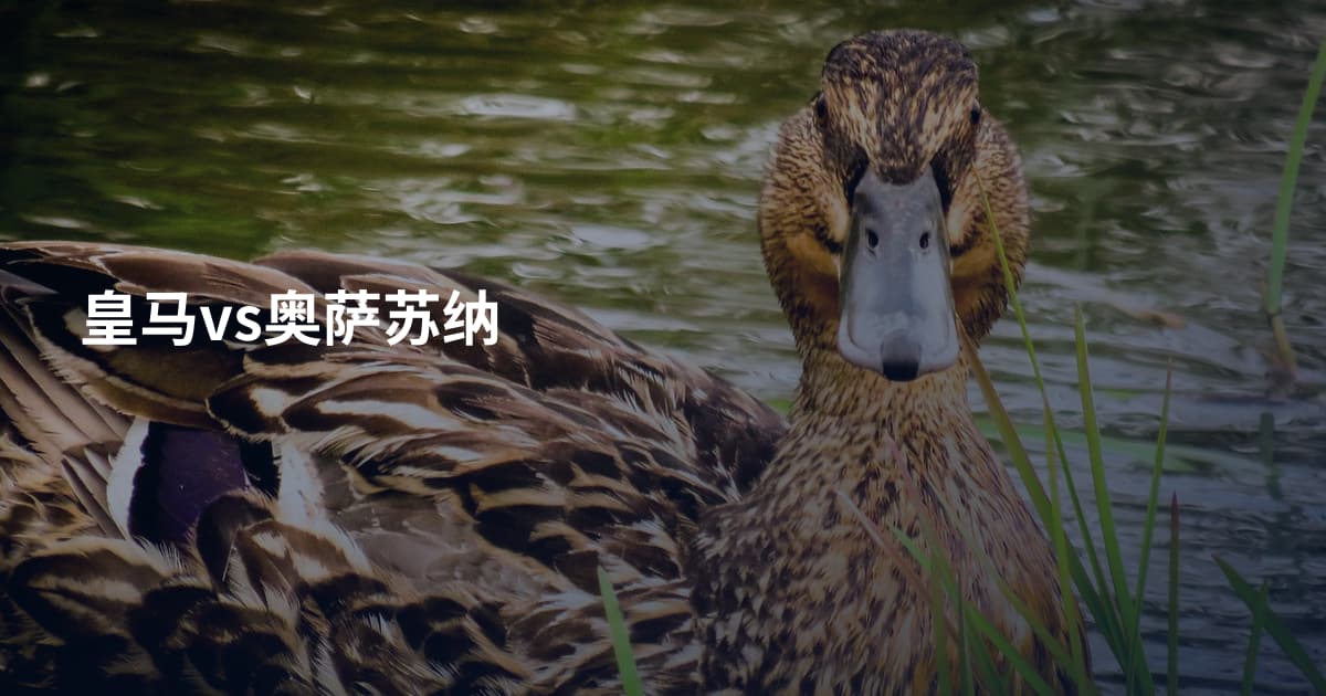 皇马vs奥萨苏纳