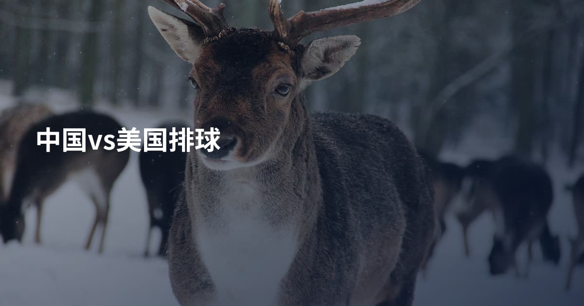中国vs美国排球
