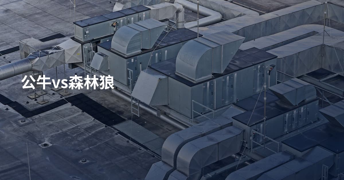公牛vs森林狼