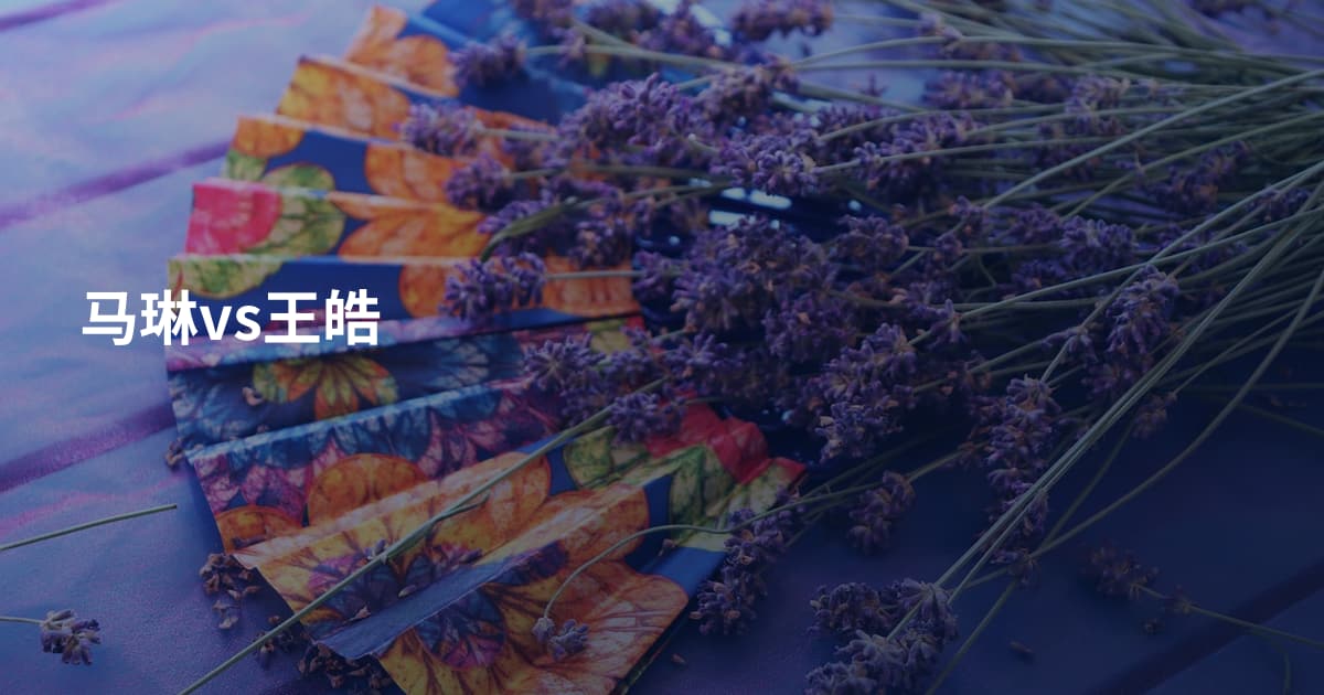 马琳vs王皓