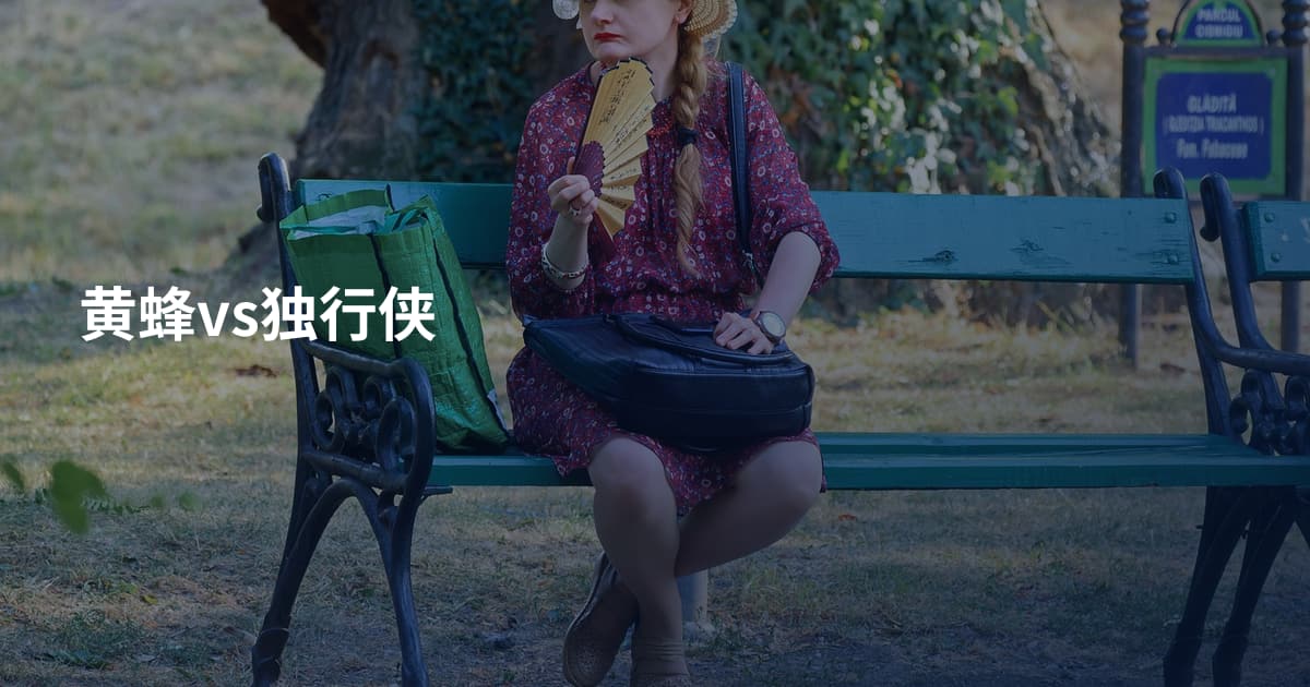 黄蜂vs独行侠