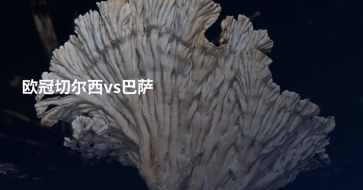 欧冠切尔西vs巴萨