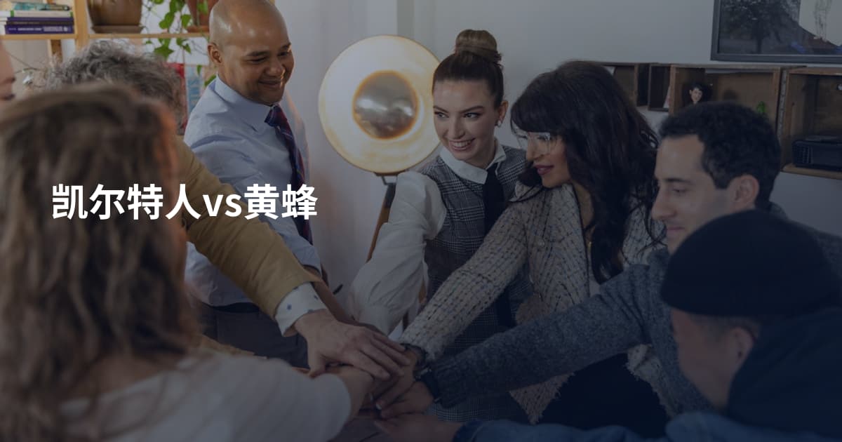 凯尔特人vs黄蜂