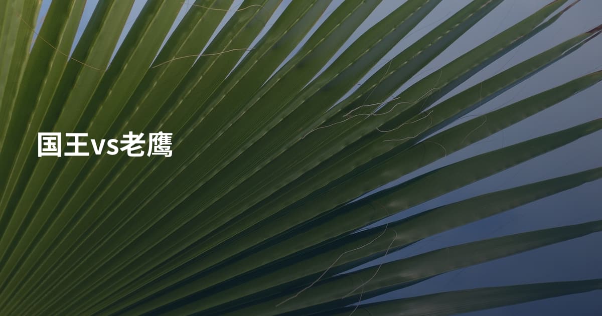 国王vs老鹰