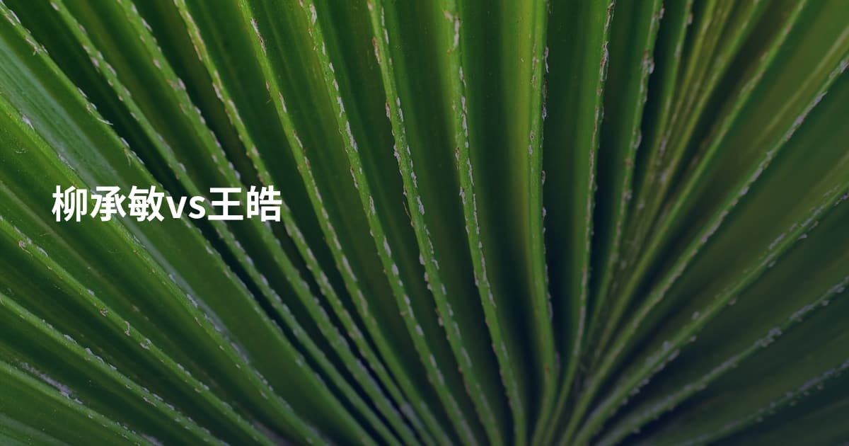 柳承敏vs王皓