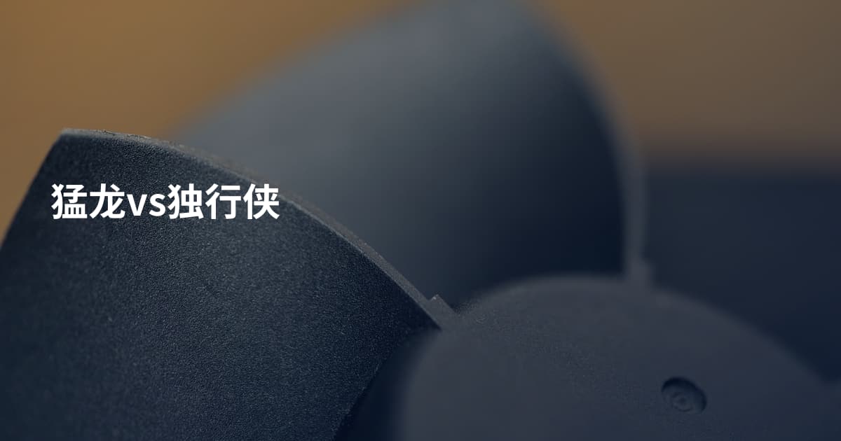 猛龙vs独行侠