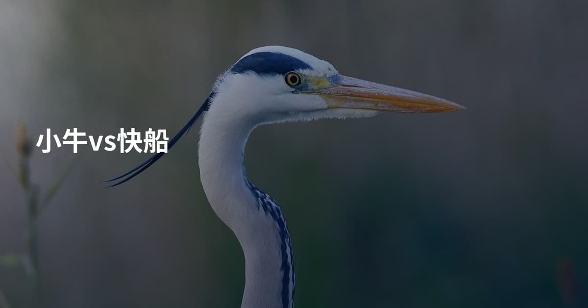 小牛vs快船