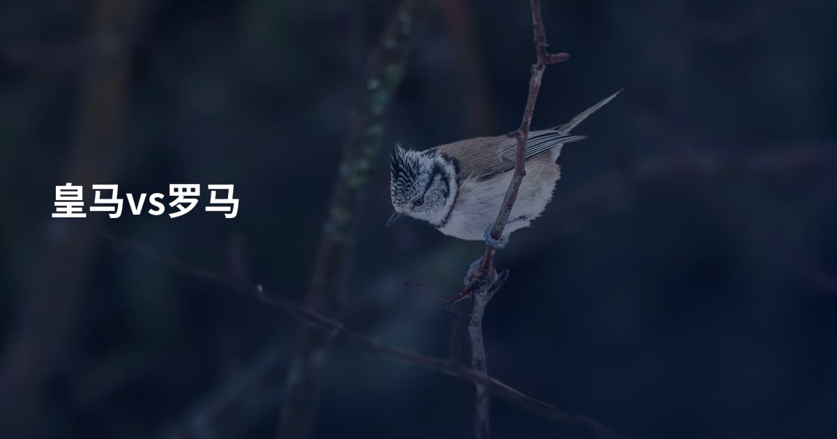 皇马vs罗马