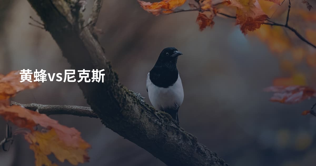 黄蜂vs尼克斯