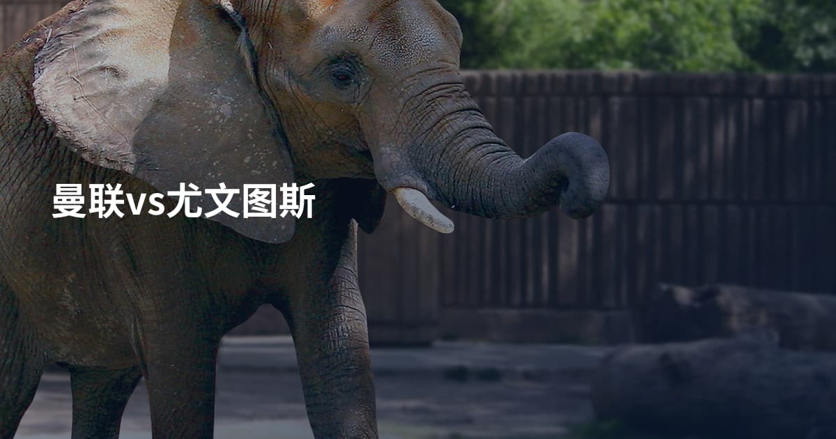 曼联vs尤文图斯