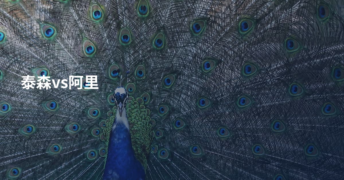 泰森vs阿里