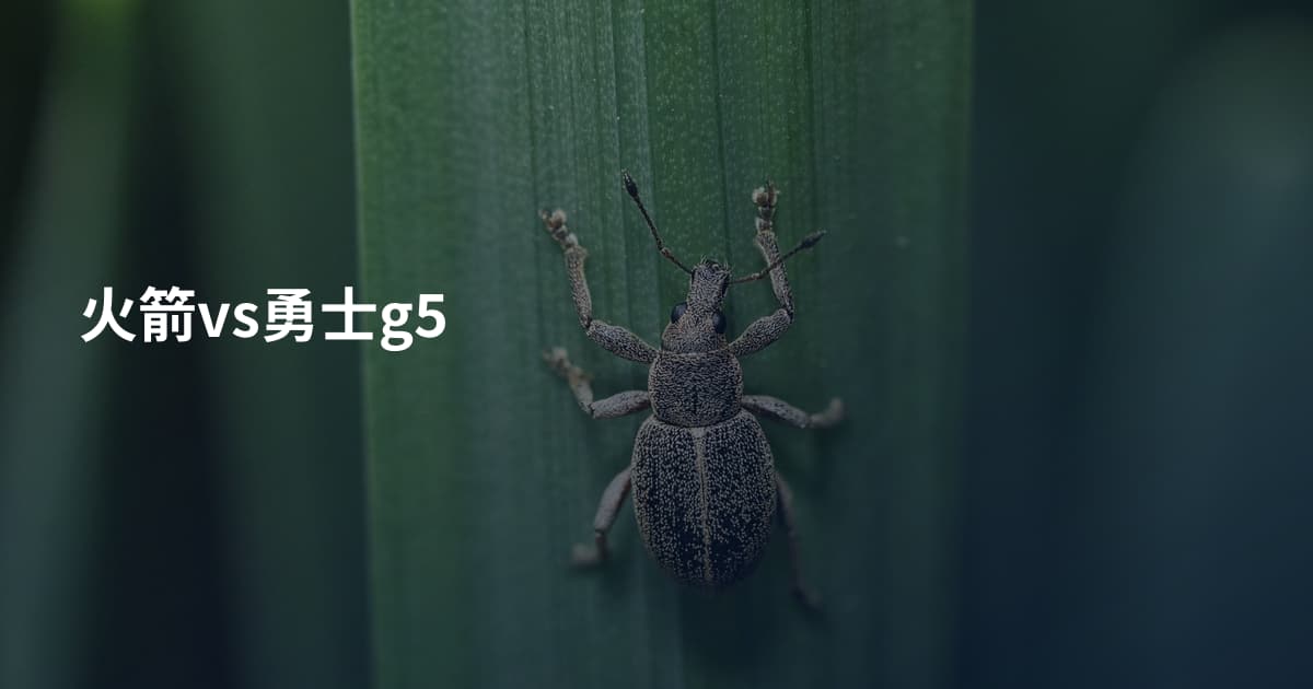 火箭vs勇士g5