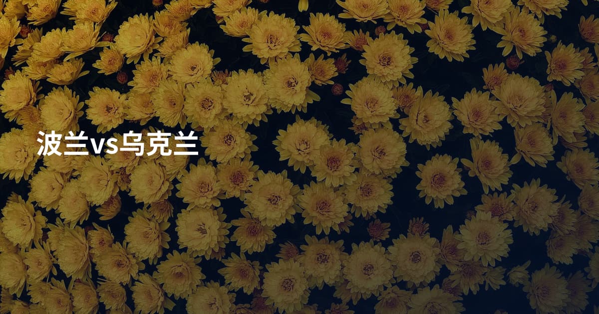 波兰vs乌克兰