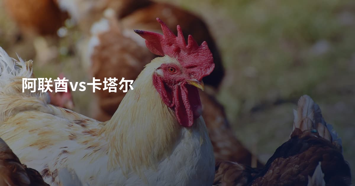 阿联酋vs卡塔尔