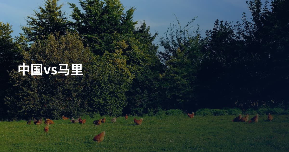 中国vs马里